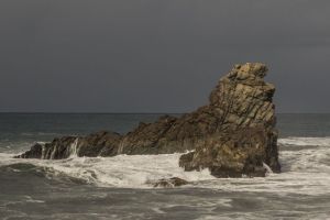 Seelöwen Fels in Taganana