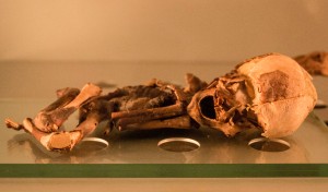 Museo de la Naturaleza y el Hombre - Guanche Foetus