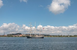 Thalassa Country of registration: The Netherlands Rig: Barquentine 3 Year launched: 1980 Crew: 30 www.tallshipthalassa.nl