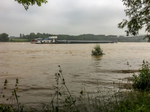 Der Rhein - ein Strom